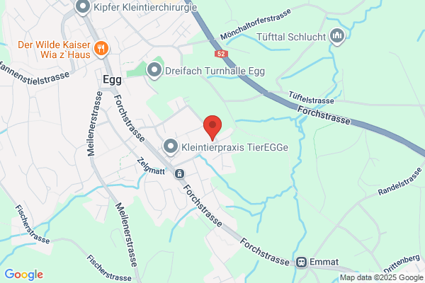 Schicker Treuhand