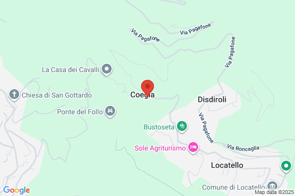 Giorgio Locarnini