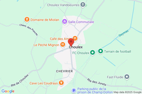 Garage Choulex SA