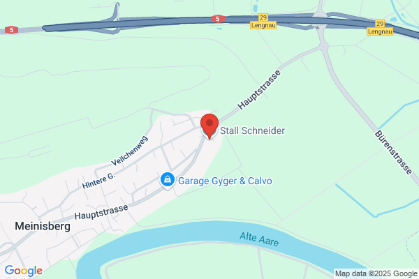 Erwin Schneider