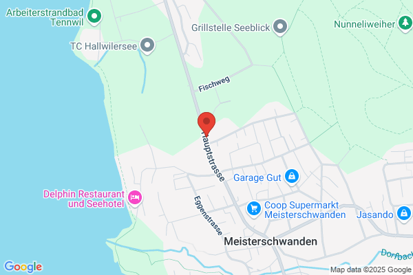 Gisi-Handels AG