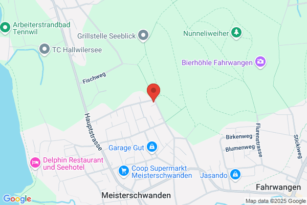 NBS-Beratung F. Fischer