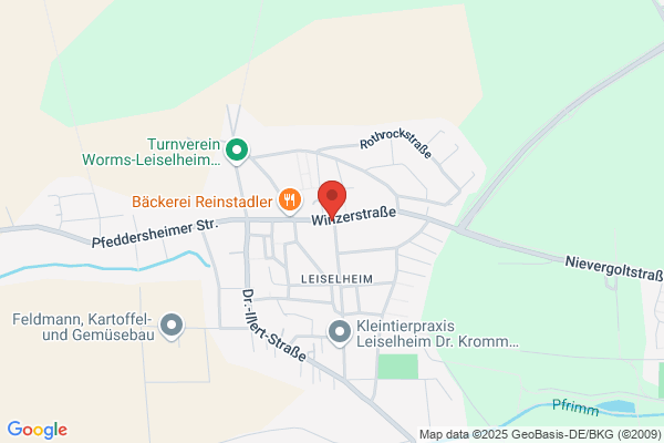 Timeplan Stauffer
