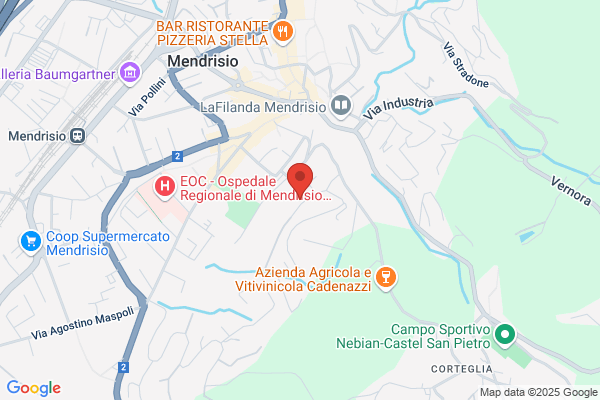 Istituto per bambini Paolo Torriani