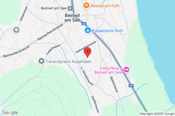 Stiftung Dankensberg