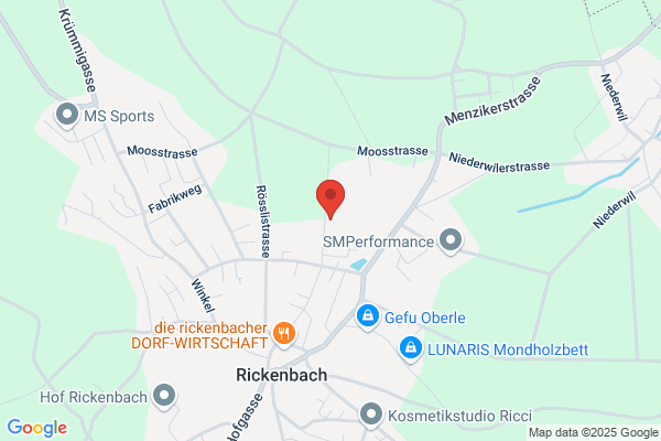 Schreinerei Ryser AG