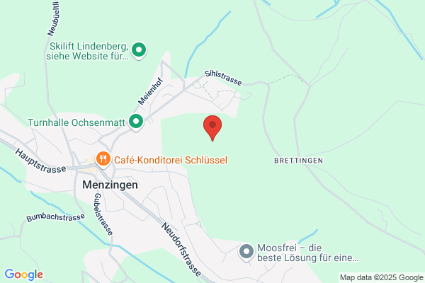 Hanspeter Spring