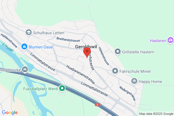 Hirschmann Swiss Consulting