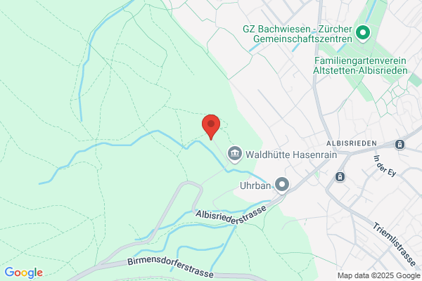 W.S.S. WEAPONS und SHOOTING SUPPLIES SAGL