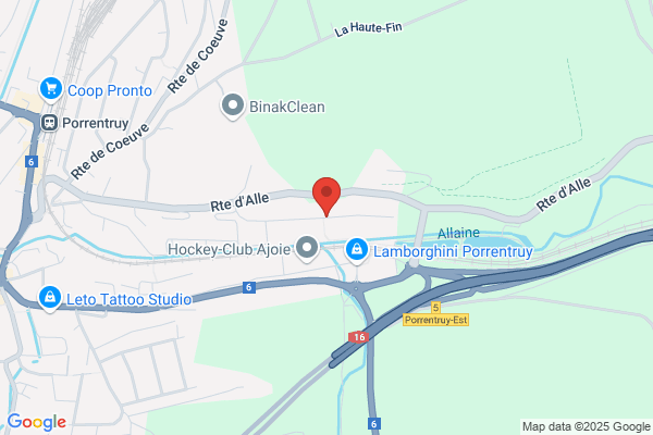 DS CONSULTING SA c/o Fiduciaire Hommel und Cie SA