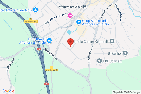 Albis Garage Schaub