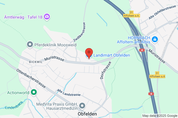 LANDI OBFELDEN, Gen.