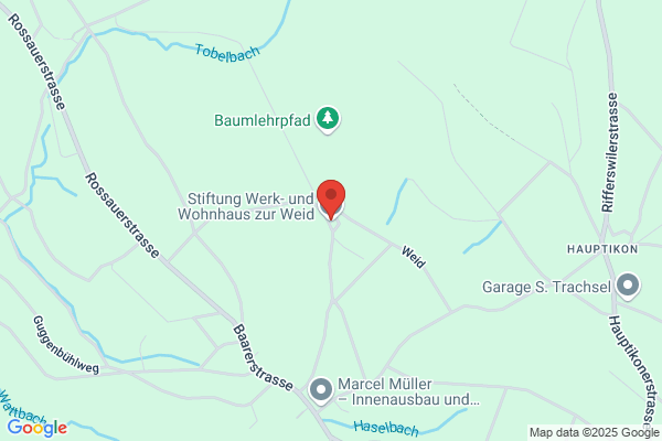 IGN Gerhart Niederer
