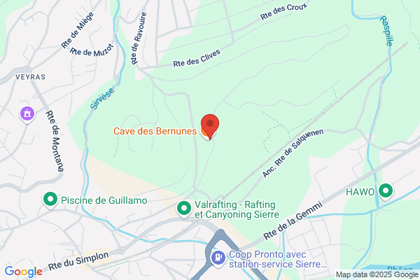 Cave des Bernunes SA