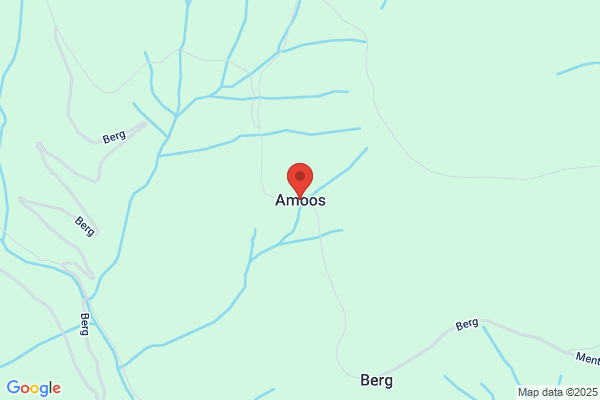 Daniel Amoos