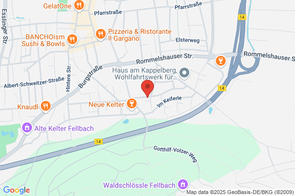 Vujic Gipser und Maler