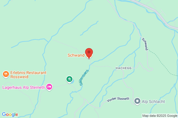 Hotel Schwanderhof
