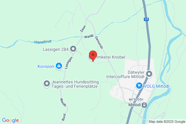 U. Luchsinger Holz GmbH