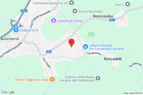 Ginazzi und Artioli SA