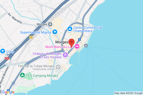 Mosini et Caviezel SA Bureau de géomètre
