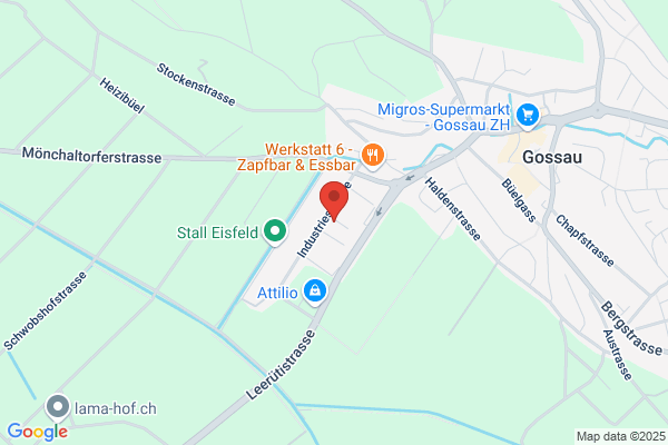 Moguntia International AG Industriezone 19