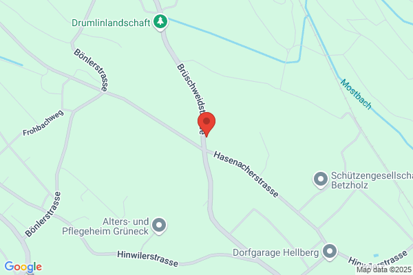 Holzbasis GmbH