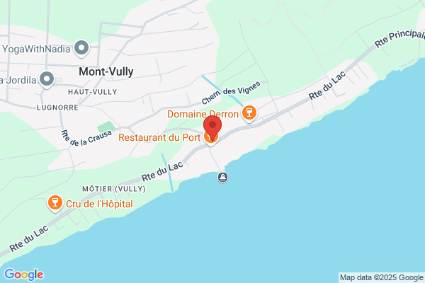 AU P'TIT VIGNERON - VINS