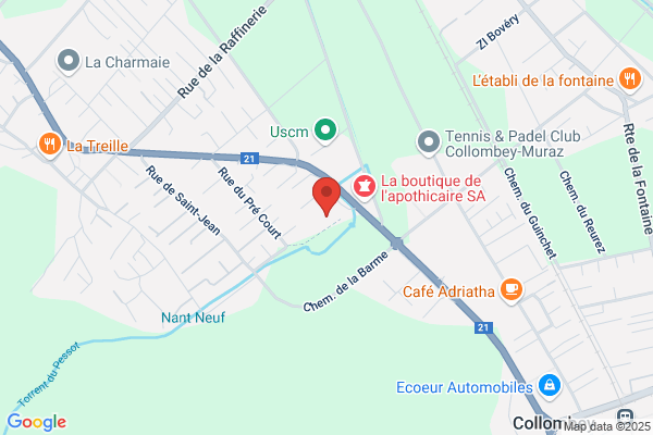 Carraux-Moret Constructions SA