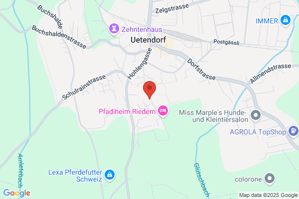 Inpronet AG