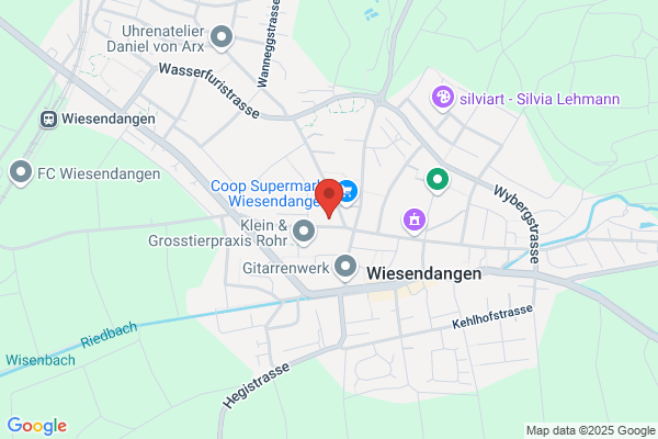 Dr.med.dent. G. Wiesendanger