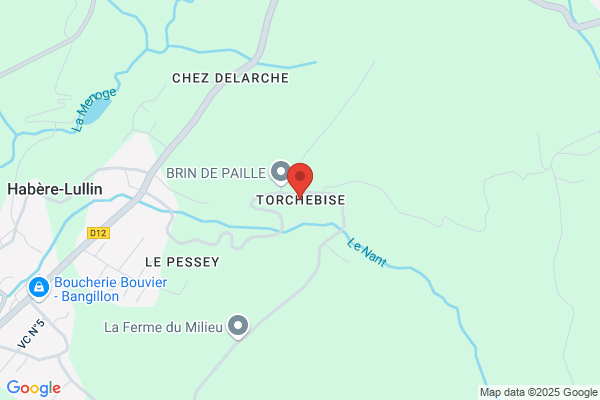 Francois Torche