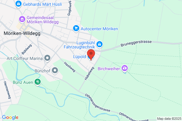 Softwareschneiderei Wyser