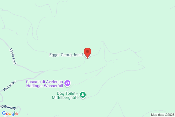 Josef Egger
