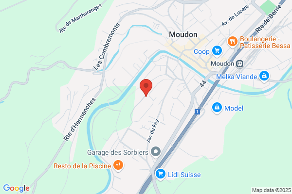 Gaston Protti
