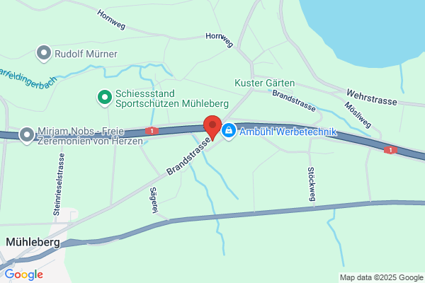 HOLZBAUWERK AG Mühleberg