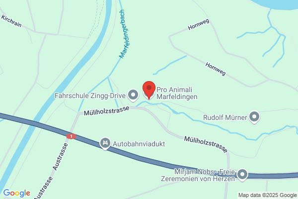 Pro Animali Marfeldingen