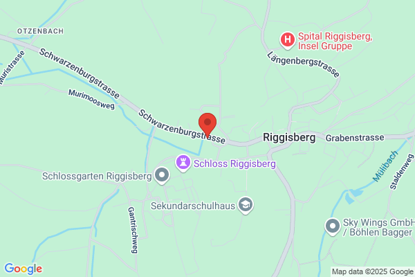 Peter Engeloch AG