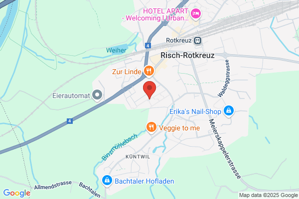 Lindenmatt Immobilien AG