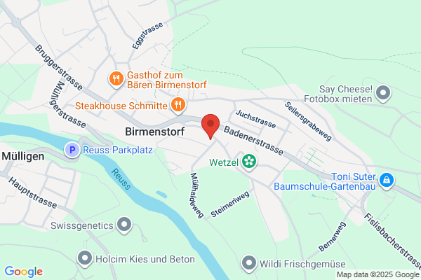 Fellmann Gartenbau AG