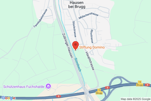Stiftung Domino