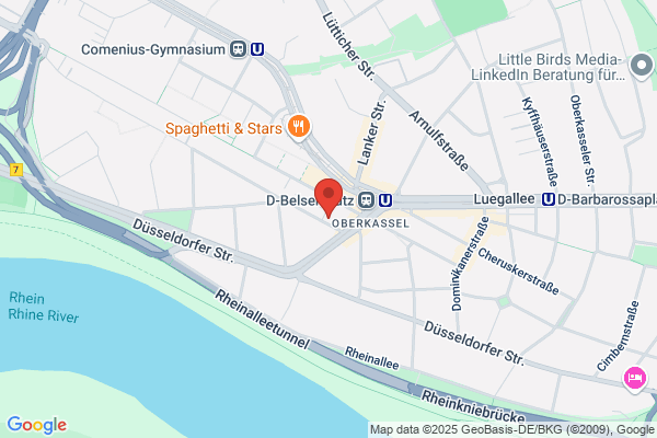 dz consult GmbH