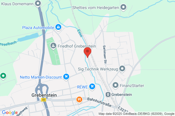 Viessmann Service