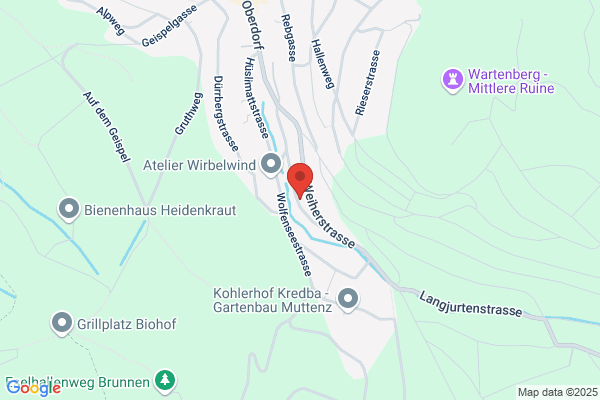 Elektro Mühlethaler AG
