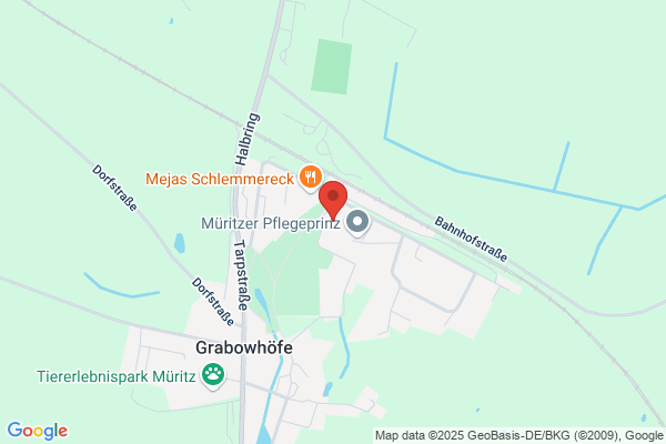 Dres.med.vet. Schaer und Wick