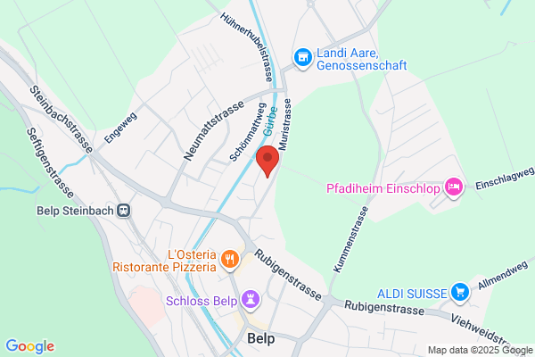 Neuapostolische Kirche in der Schweiz