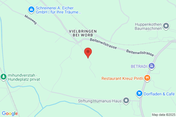 Hans Morf Vielbringen