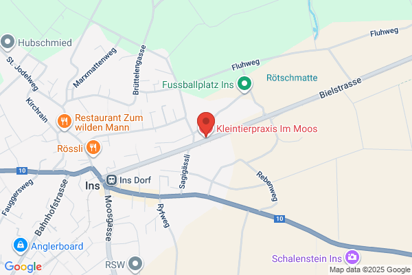 Kleintierpraxis im Moos AG