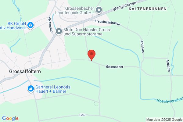 Hanspeter Fueri