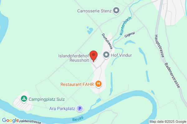 Islandpferde Ausbildungs-Zentrum