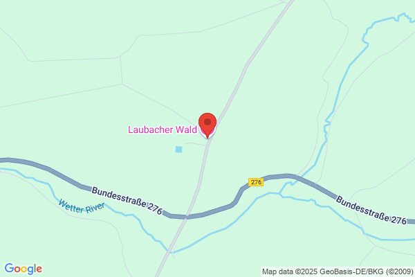 Hubert Laubacher